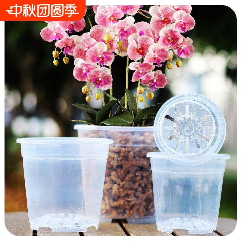 蝴蝶兰花盆控根盆高透明兰花专用图片