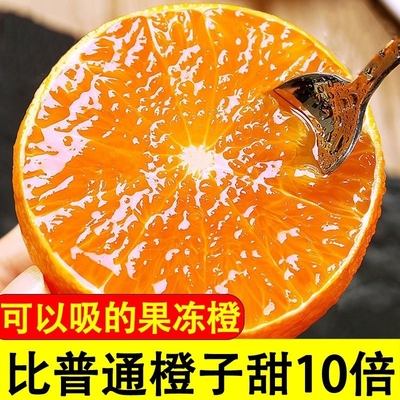 现摘果冻橙新鲜水果可以吸