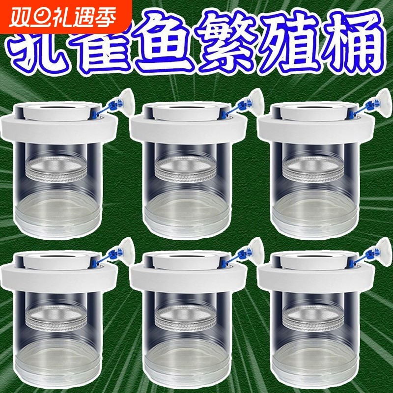 鱼缸悬浮式孔雀鱼繁殖隔离盒小鱼苗凤尾幼鱼母鱼产房漂浮孵化罐网