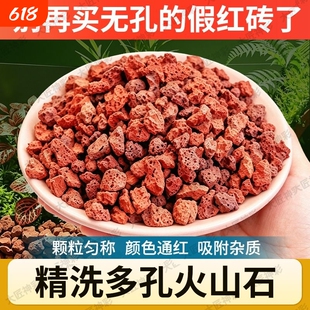 火山石颗粒鱼缸专用造景大块底砂石蝴蝶兰养花拌土铺面火山岩生态