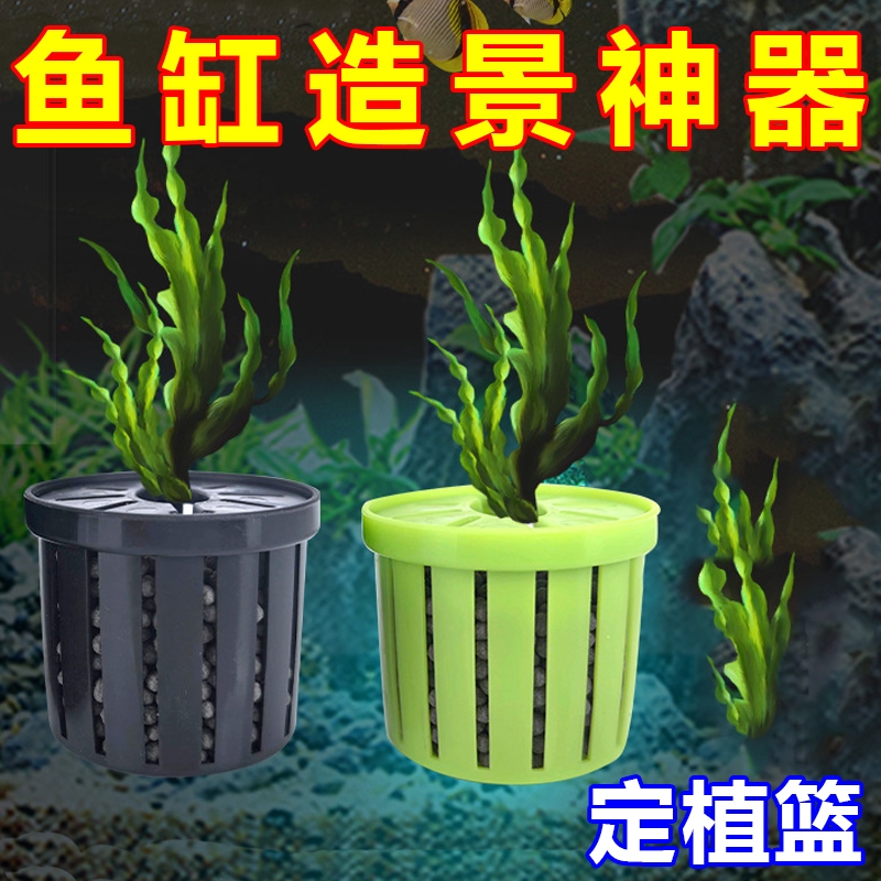 鱼缸水培植物篮家用水草种植水草泥沉底固定器种植造景装饰定植篮