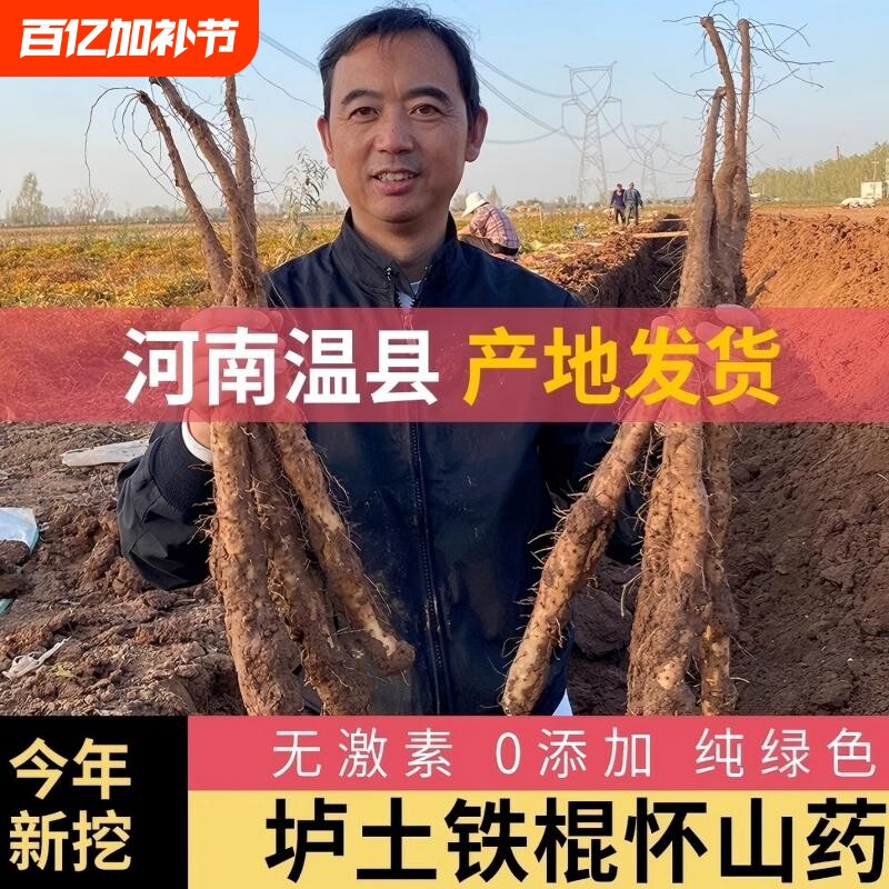 铁棍山药河南焦作温县正宗垆土怀淮山药新鲜铁杆蔬菜批发包邮怀山
