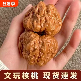 延庆金蝉蛤蟆头正宗老树核桃文玩青蛙手盘玩把件金蟾桃核手工