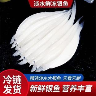 银鱼新鲜冷冻银鱼鲜活速冻淡水银鱼淡水水库白饭鱼小银鱼批发商用