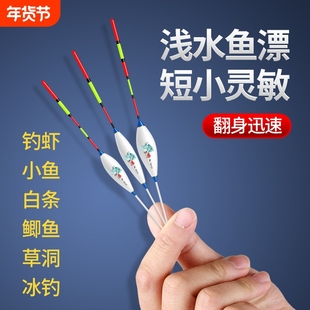 浅水草洞鱼漂白皮漂鲫鱼钓虾短尾加粗醒目纳米浮漂高灵敏度冰钓漂