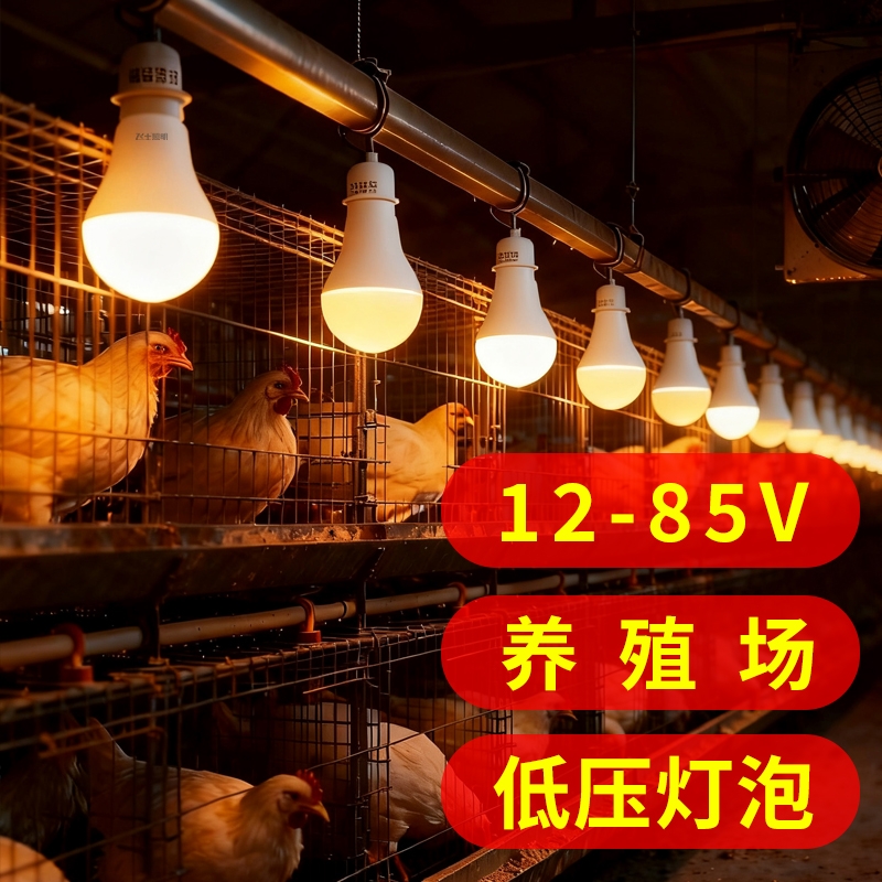 养殖场专用LED低压球泡蛋鸡专用