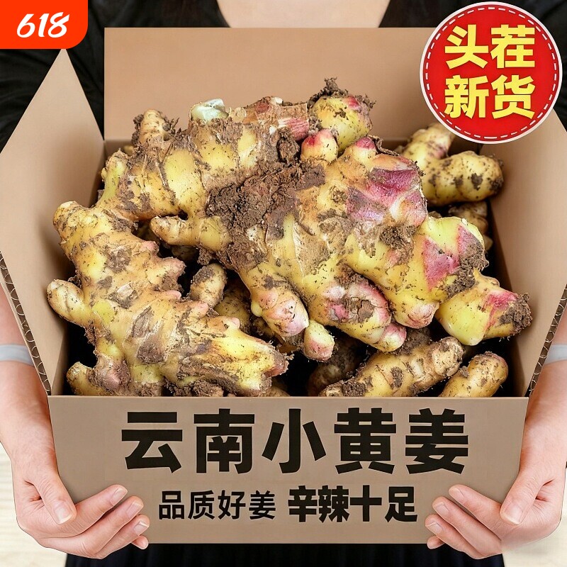 云南大理现挖春姜小黄姜新鲜生姜云南沙姜老姜土姜月子姜
