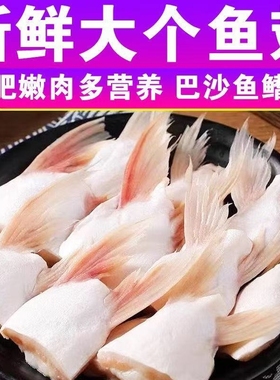 巴沙鱼鳍新鲜冷冻鱼翅鱼鳍回鱼下巴巴沙鱼翅鱼下巴家庭装鱼翅冷冻