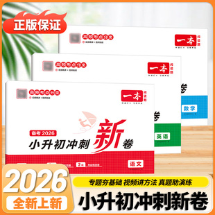 一本小升初冲刺分类新卷三步分类练真题总复习分类试卷真题新卷语文数学英语名校冲刺历年真题试卷六年级总复习