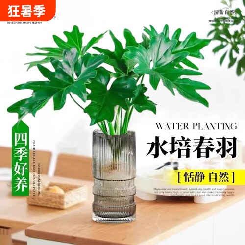 基地直销 新品特惠