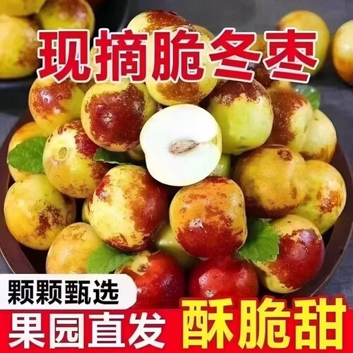 新鲜现摘冬枣正宗大荔脆甜即食