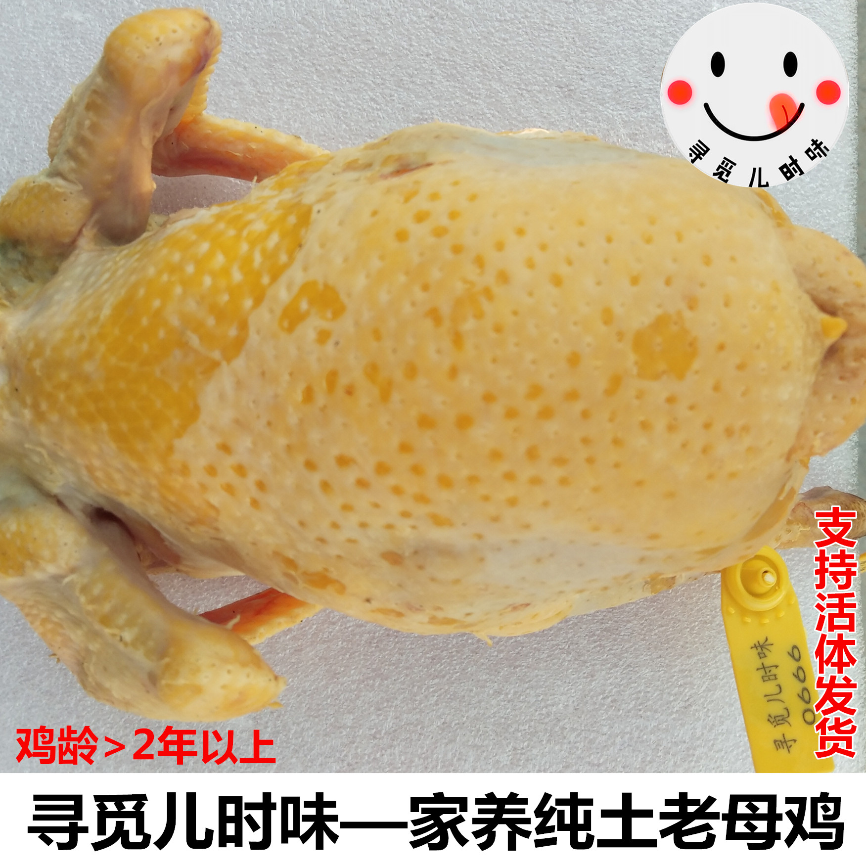 寻觅儿时味—农家收购 纯粮家养土老母鸡 活体土鸡月子鸡孕妇柴鸡
