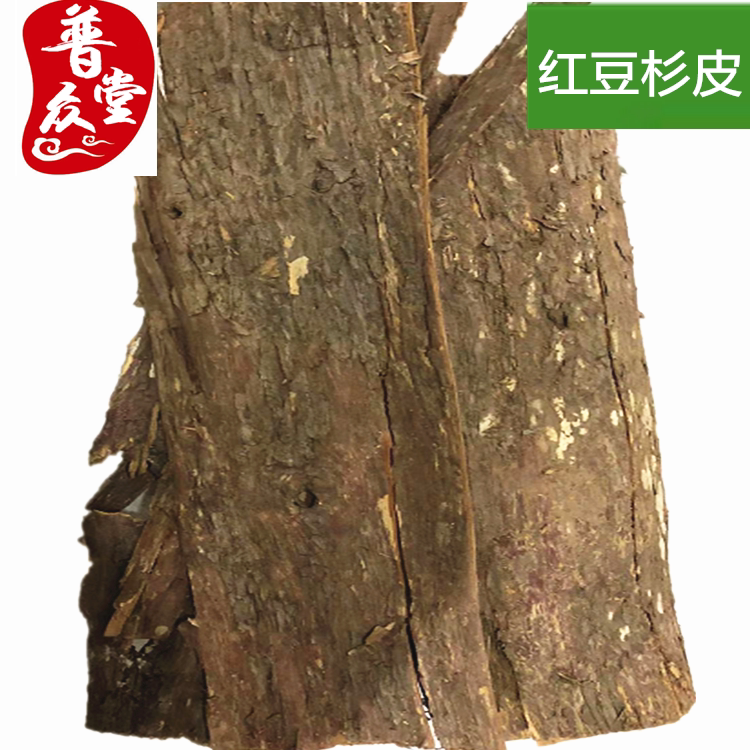 红豆杉皮 整块 大片的  红豆