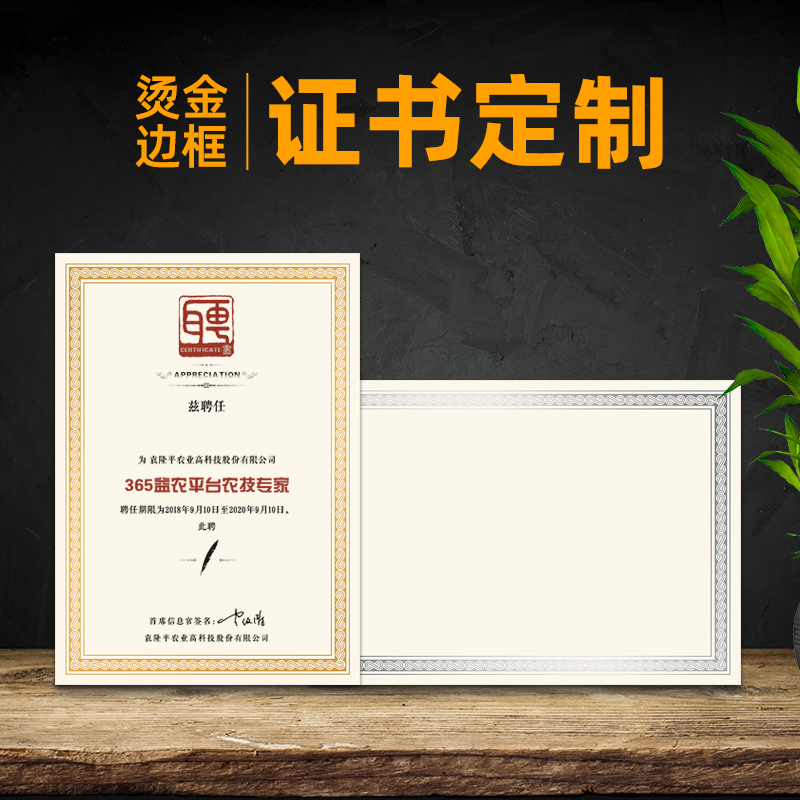 荣誉证书内芯获奖聘用烫金边框