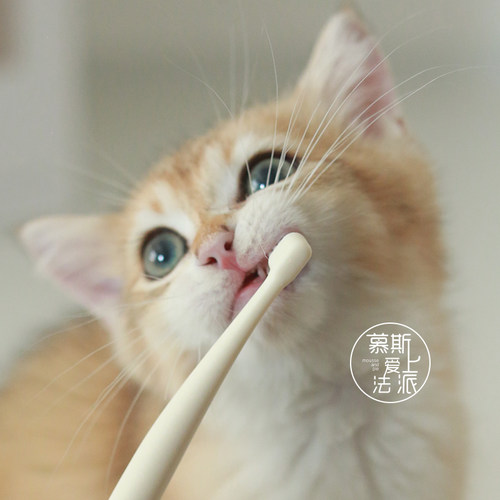 meoof觅凹宠物牙刷小7牙刷