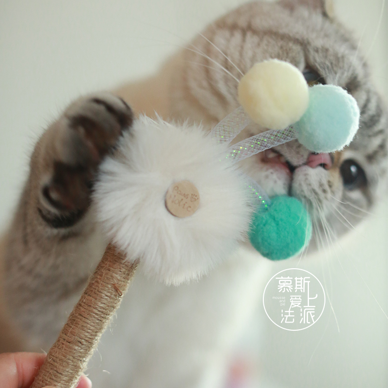 PawsHolic爪迷咬咬木天蓼