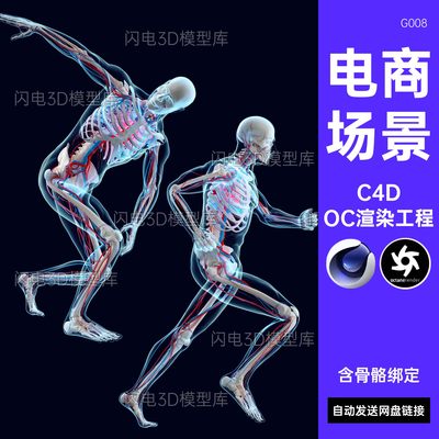 C4D人体绑定骨骼模型身体器官内脏骨架男性人物角色运动姿态OC渲