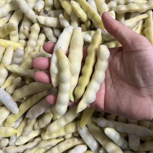 东北速冻黄豆角兔子翻白眼钩勾黄