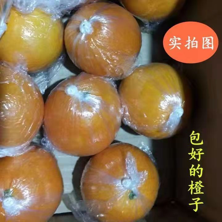 。橙子保鲜膜芦柑封口保护包装袋单个芭乐桔子家用水果塑料袋