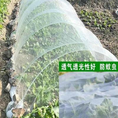 。菜园防乌网防鸟虫网大棚农用蔬菜地果树纱网猪场养殖防蚊蝇专用