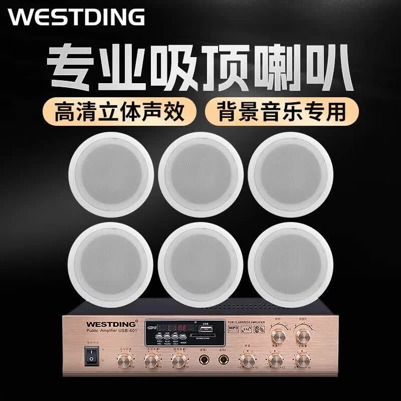 威斯汀吸顶音响套装定压功放机公共广播系统吊顶家用客厅会议店铺
