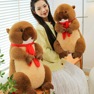 红领巾土拨鼠毛绒玩偶河狸站姿胖乎乎动物布娃娃搞怪丑萌摆件装饰