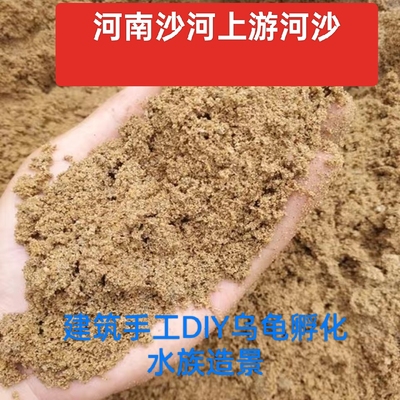 河沙建筑鱼缸装饰用干沙纯天然筛选干净鱼缸用沙子乌龟产蛋用5斤