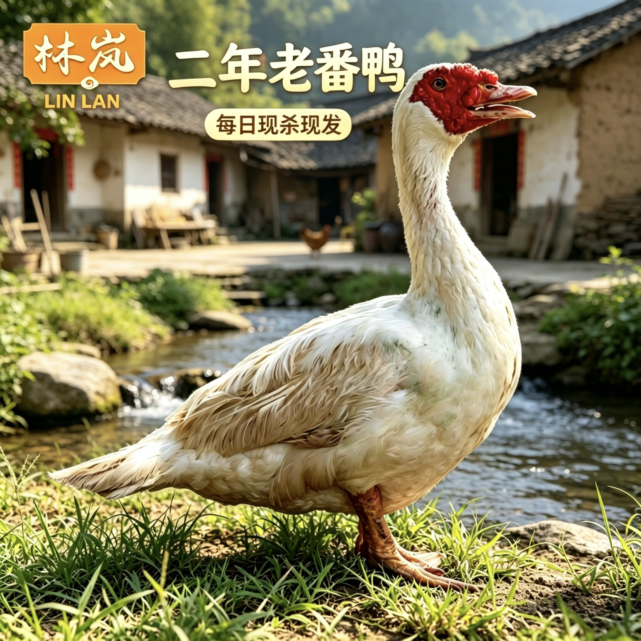 农家老番鸭 土鸭老鸭红脸老鸭肉新鲜老笨鸭子生鲜鸭肉老鸭 土鸭