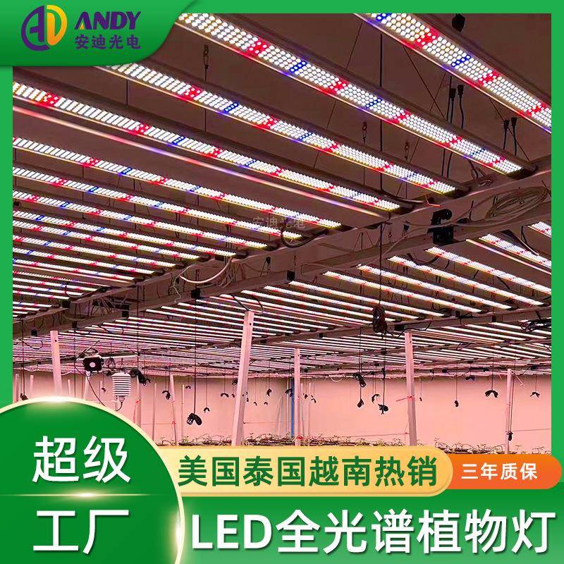 植物灯1000瓦4x6ft大棚growlights美国加拿大1米8植物生长补光灯