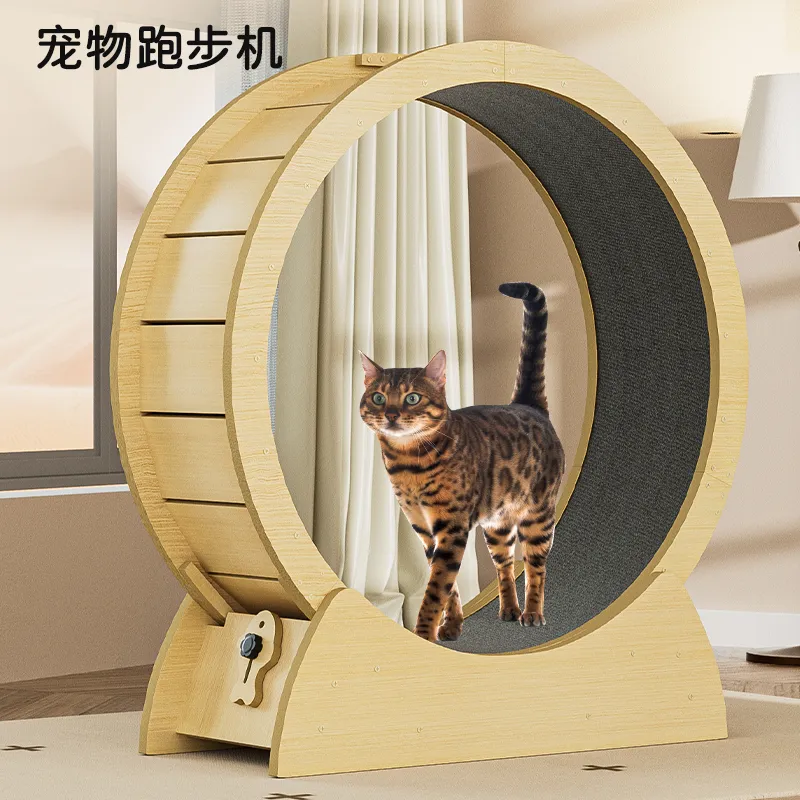 外贸猫咪跑步机猫爬架猫窝静音运动健身宠物滚轮猫猫玩具耐抓,宠物/宠物食品及用品,猫爬架,淘宝优惠券,粉丝福利购,淘宝优惠卷
