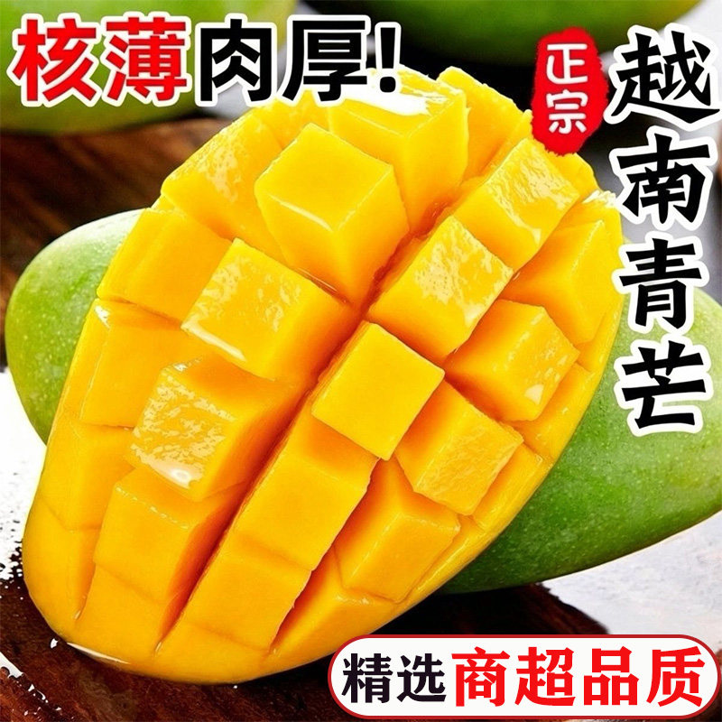 芒果新鲜大果现摘水果青皮芒果