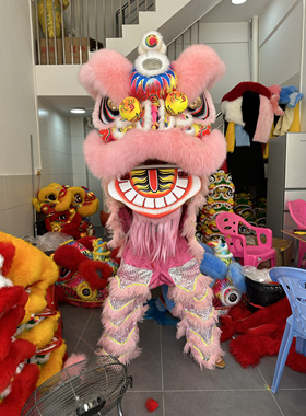 醒狮泡沫狮佛装舞狮头3号成人狮中学生舞狮表演全套耐摔轻巧醒狮