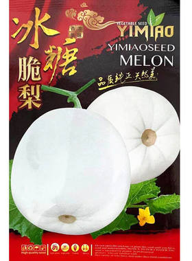冰糖脆梨白皮蜜罐甜瓜种子香瓜种籽春季早熟超甜脆白沙蜜蔬果种孑