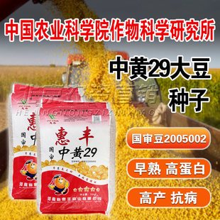 矮杆早熟国审高产大豆种子大粒黄豆种原种新品种中黄13国审中黄29