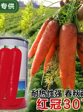 春播胡萝卜种子进口胡萝卜籽早熟高产三红率高红色胡萝卜农家蔬菜
