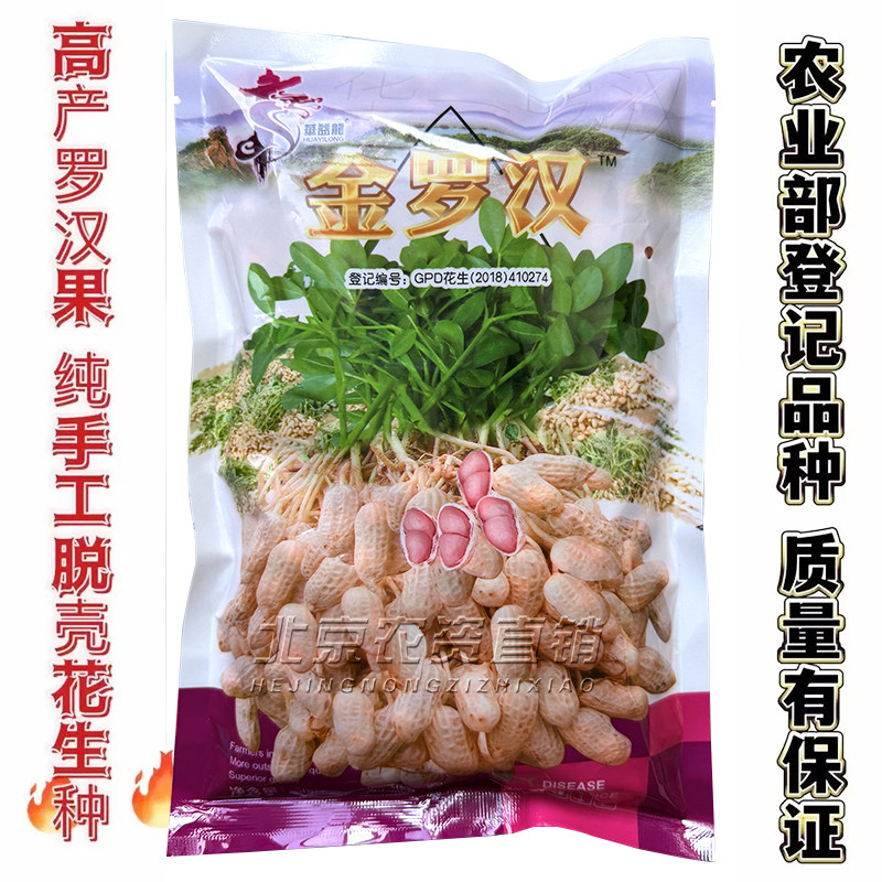 手工脱壳春季小果四粒花生种子图片
