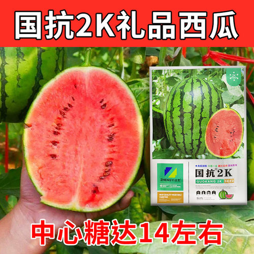 正品国抗2K西瓜种子礼品西瓜糖达14耐病高产基地用红小玉礼品西瓜 - 封面