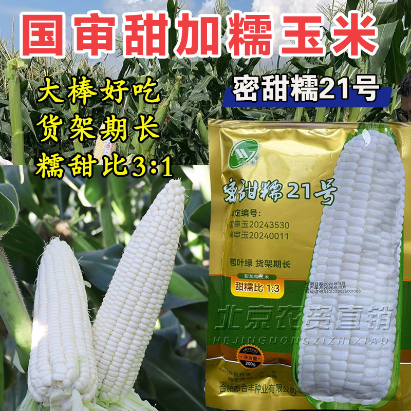 合丰甜糯21号白甜糯玉米种子密甜糯大棒好吃货架期基地种植高产型,农用物资,玉米种子/种苗,淘宝优惠券,粉丝福利购,淘宝优惠卷