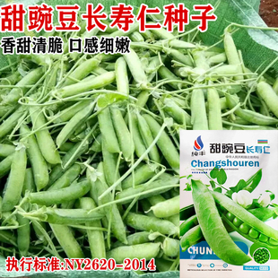 奇脆青种豌豆孑荷兰苗蚕豆菜珍甜豌豆子种籽长寿仁尖豆四季甜蔬菜