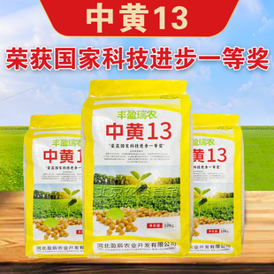 大豆种子中黄13黄豆种子高产黄豆种籽大粒抗病国产大豆种子基地用