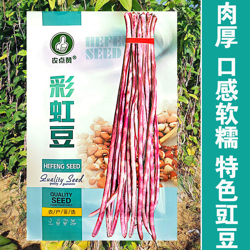 彩虹豆豇豆花皮豇豆种孑龙纹豆彩虹豆高产四季豆种籽春夏季菜种子