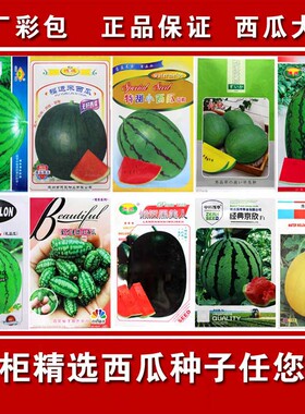 西瓜种子早佳8424甜王麒麟无籽瓜高产巨型特大黑美人礼品西瓜种籽