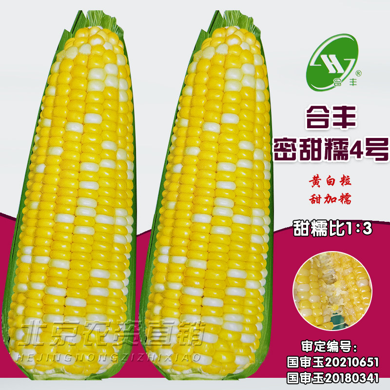 密甜糯4号黄白糯玉米种子超黏粘糯甜白黄糯大棒玉米种子籽春夏秋,农用物资,玉米种子/种苗,淘宝优惠券,粉丝福利购,淘宝优惠卷