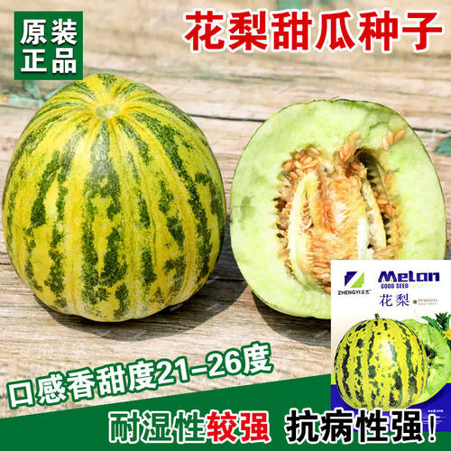花梨甜瓜种子薄皮甜瓜种籽含糖高超甜早熟耐湿抗病花皮香瓜种孑