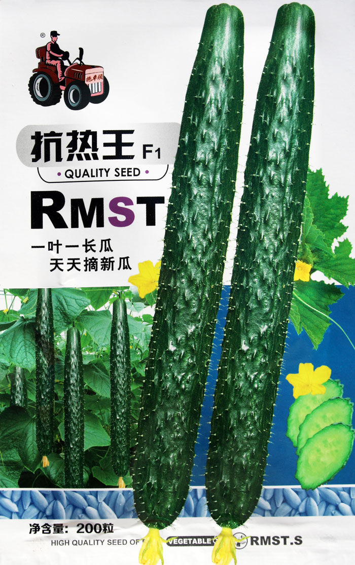 抗热王黄瓜种子 高产刺黄瓜籽口感好耐热农家四季蔬菜种籽 春夏播