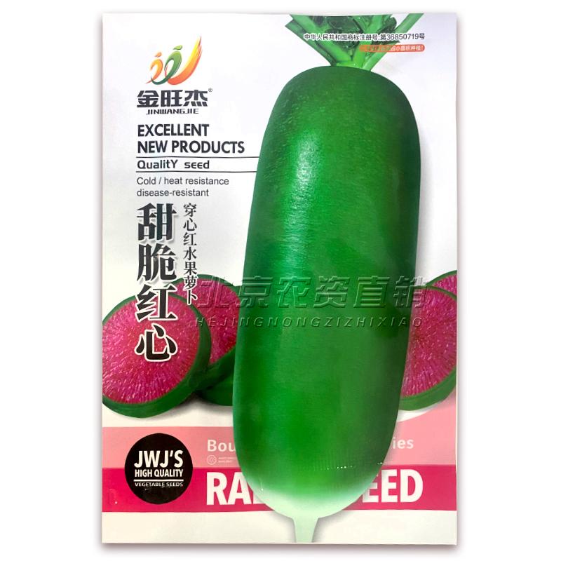 每日推荐沙窝水果萝卜种籽