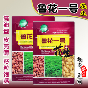 鲁花一号花生种子 早熟高产抗病耐旱耐重茬 薄皮 出油率高 春夏播