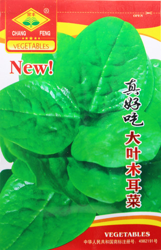 中晚熟耐热耐湿落葵大叶木耳菜