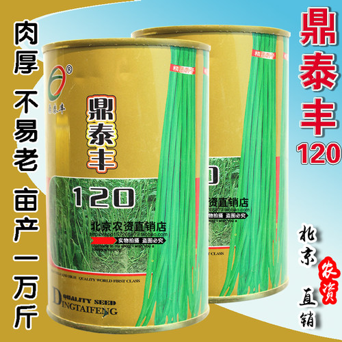 罐装高产抗病小叶绿条春秋长豆角