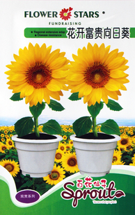 花开富贵向日葵种子 观赏葵花向阳花籽 适应性强 绿植花卉 春季播